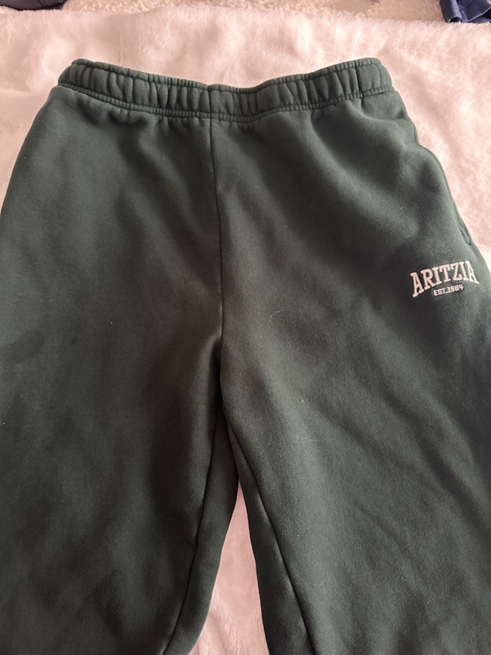 Aritzia women’s Forest Green Sweatpants